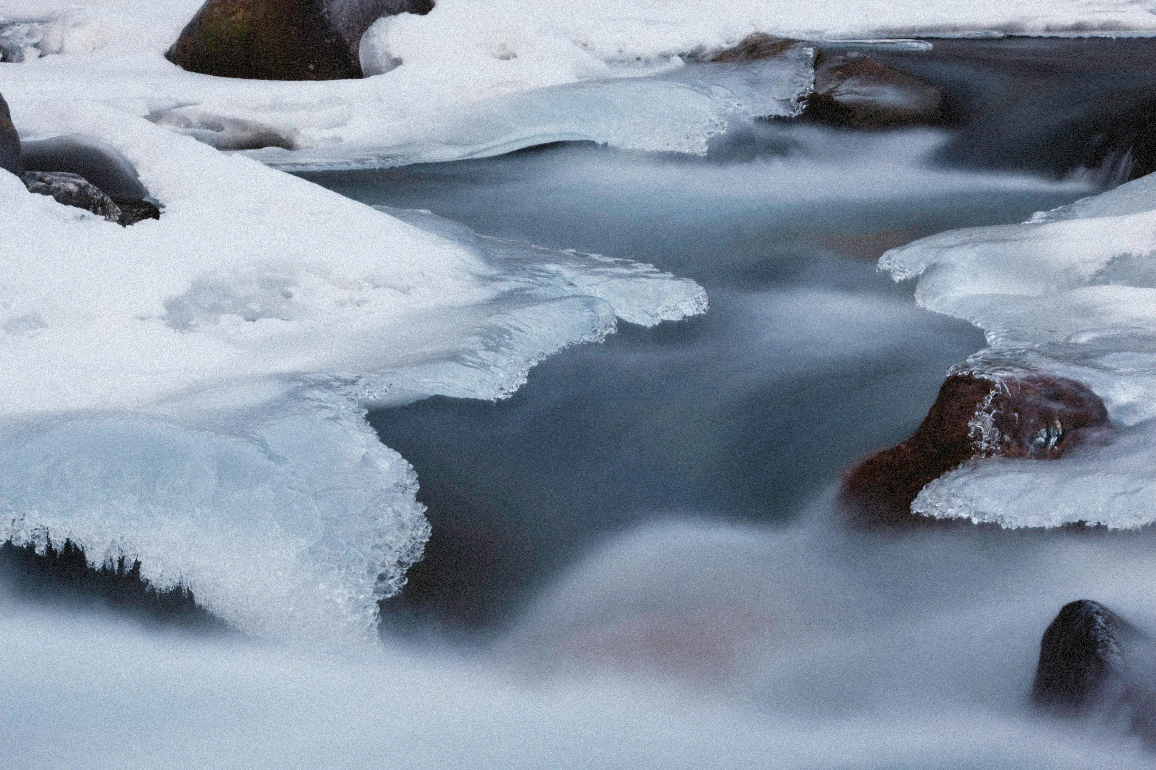 Alexey Demidov on Pexels