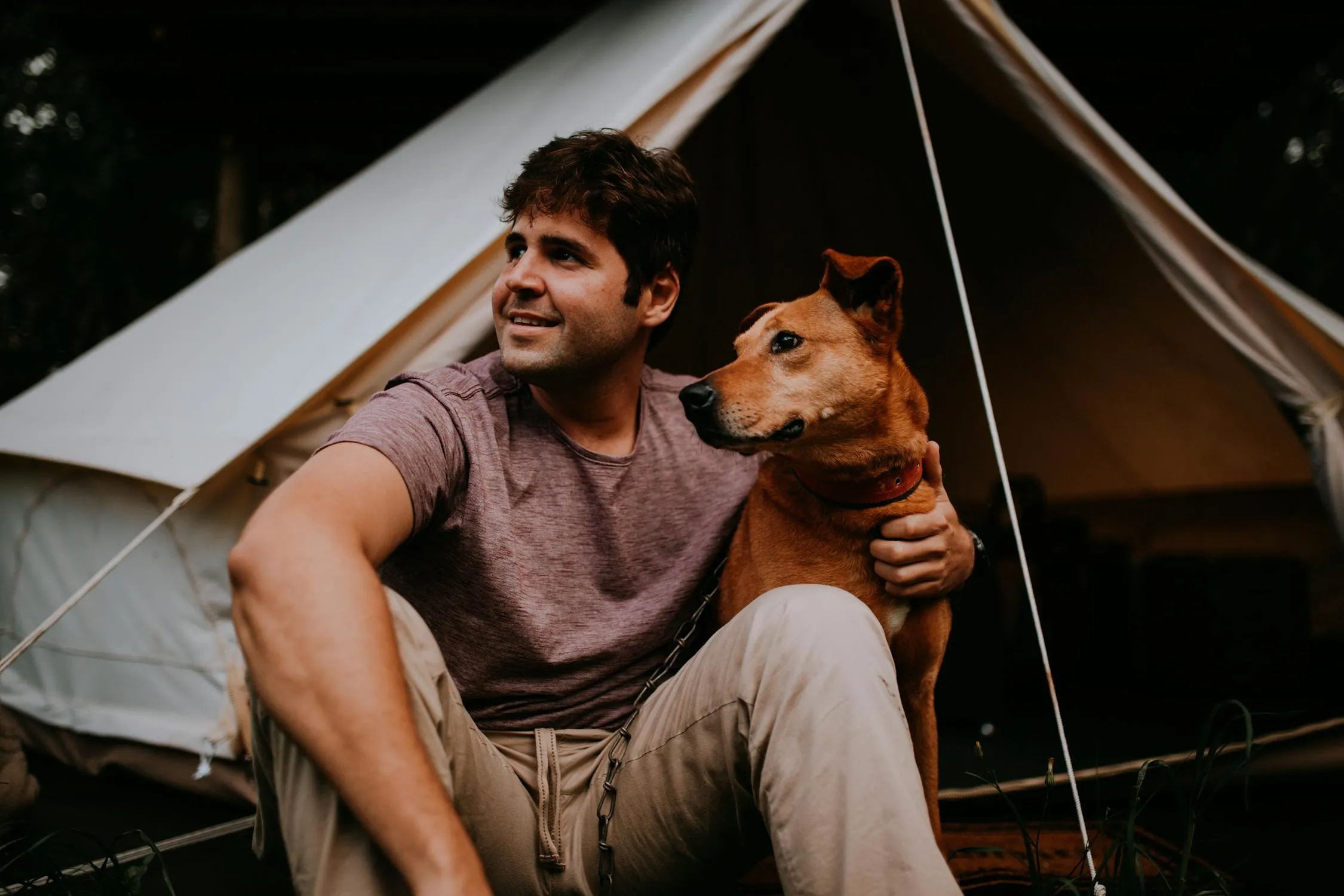 Matheus Bertelli on Pexels 
