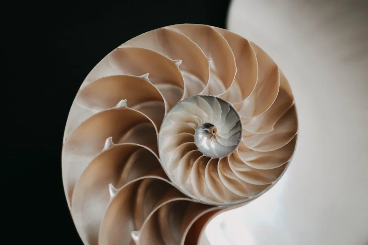 Content Pixie from Unsplash