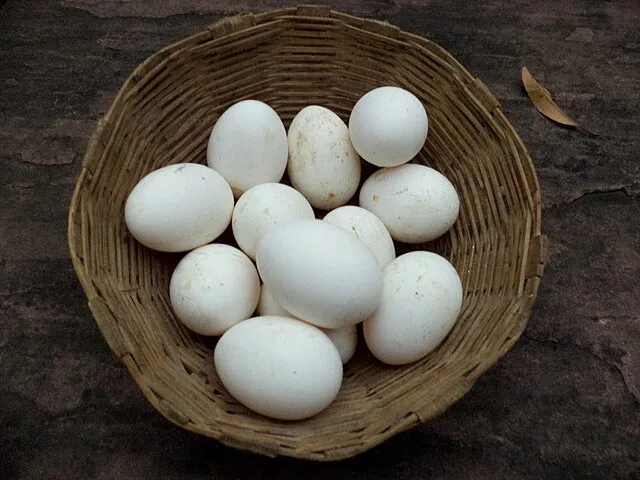 Devika on Wikicommons
