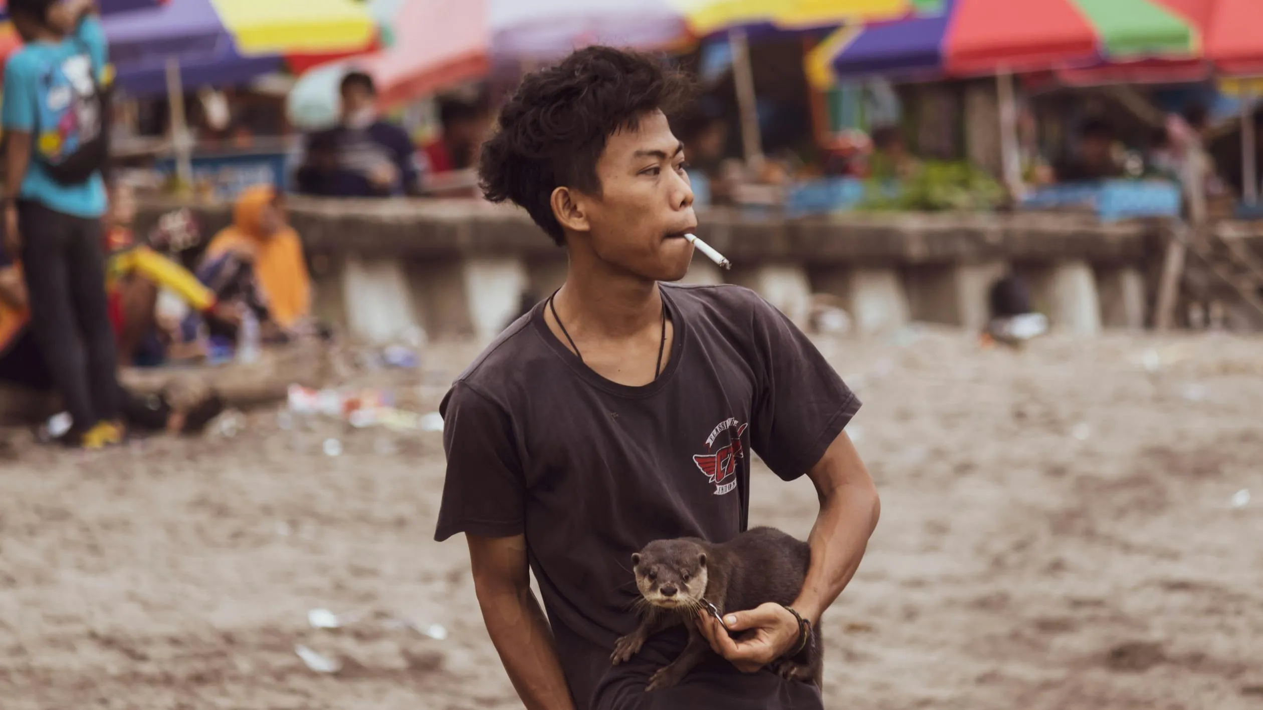 Peter Kambey on Pexels