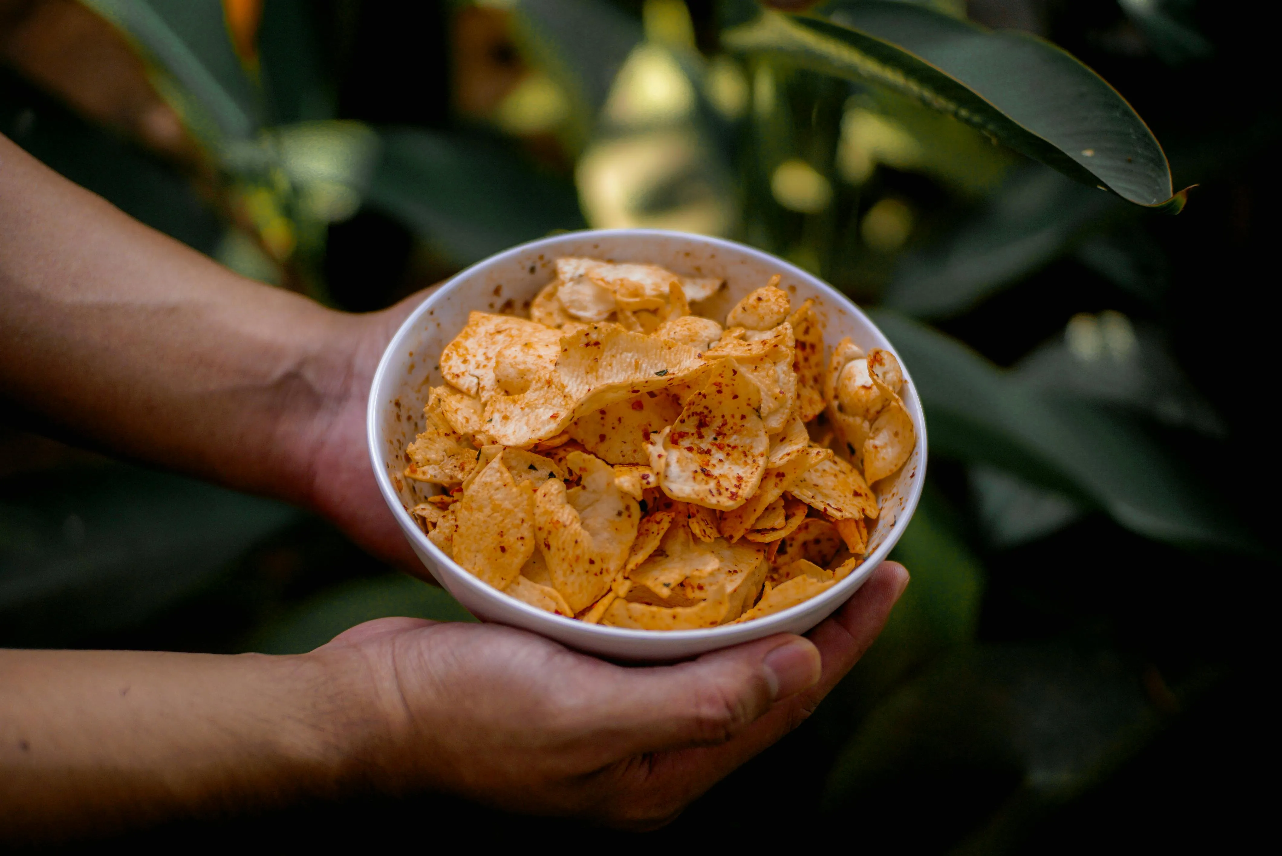 Kurnia Ramadhan on Pexels