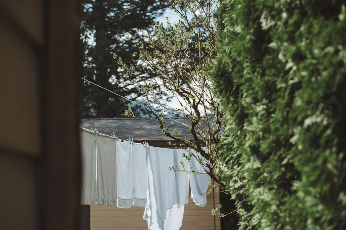 Lisa Berry from Unsplash