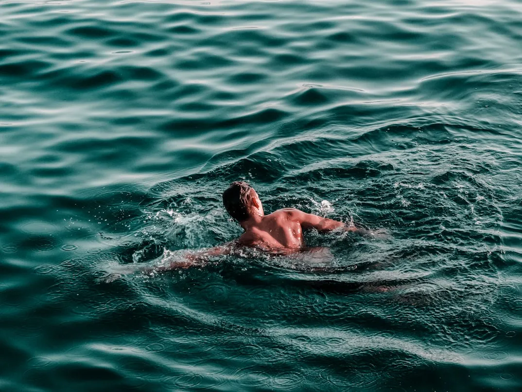 David Boca from Unsplash
