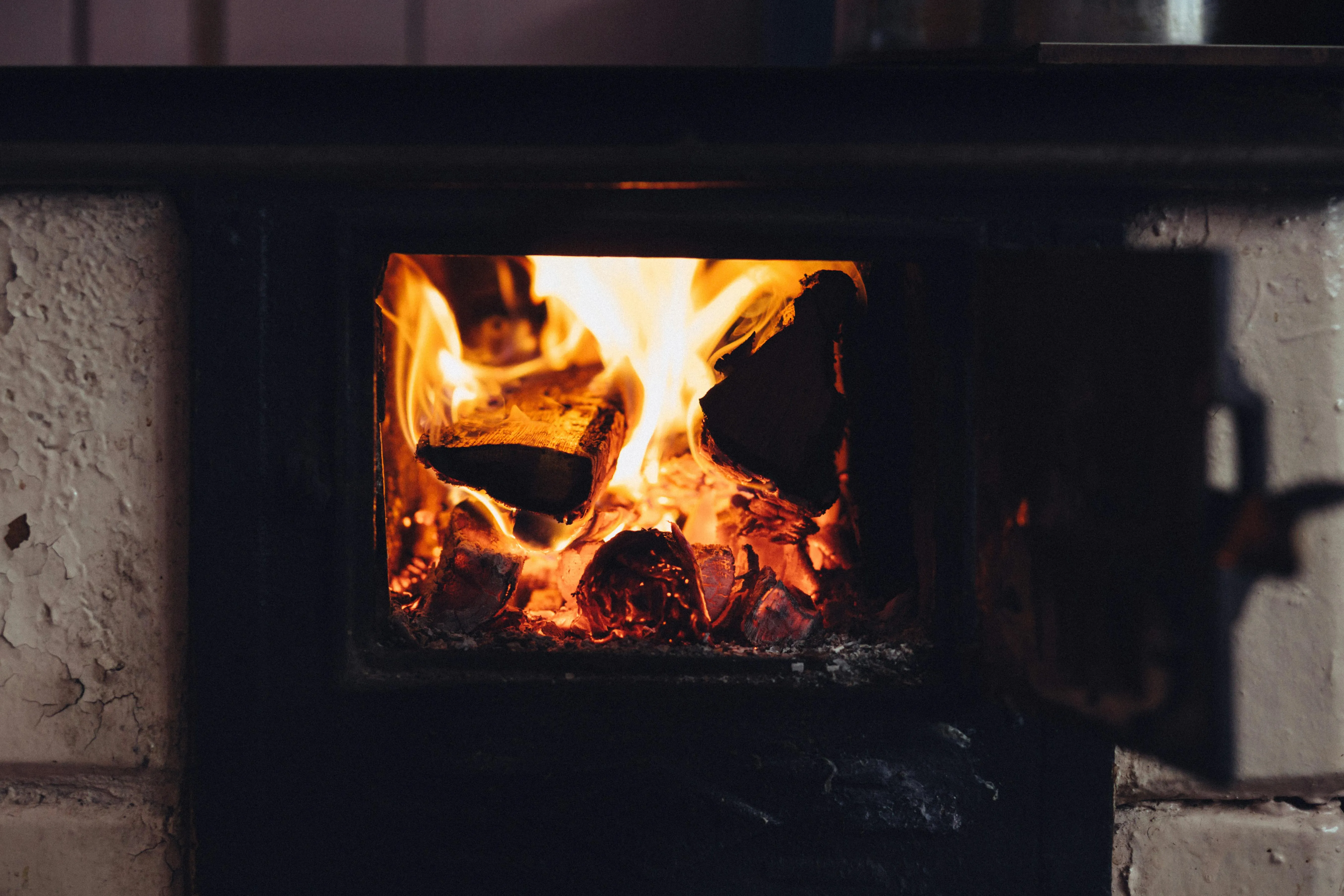 freestocks.org on pexels