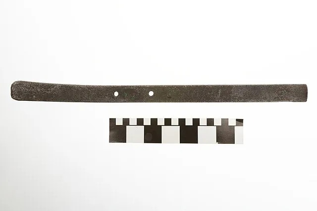 Schettler, William Rudolph on Wikimedia Commons