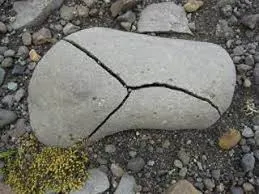 Image from Study.com