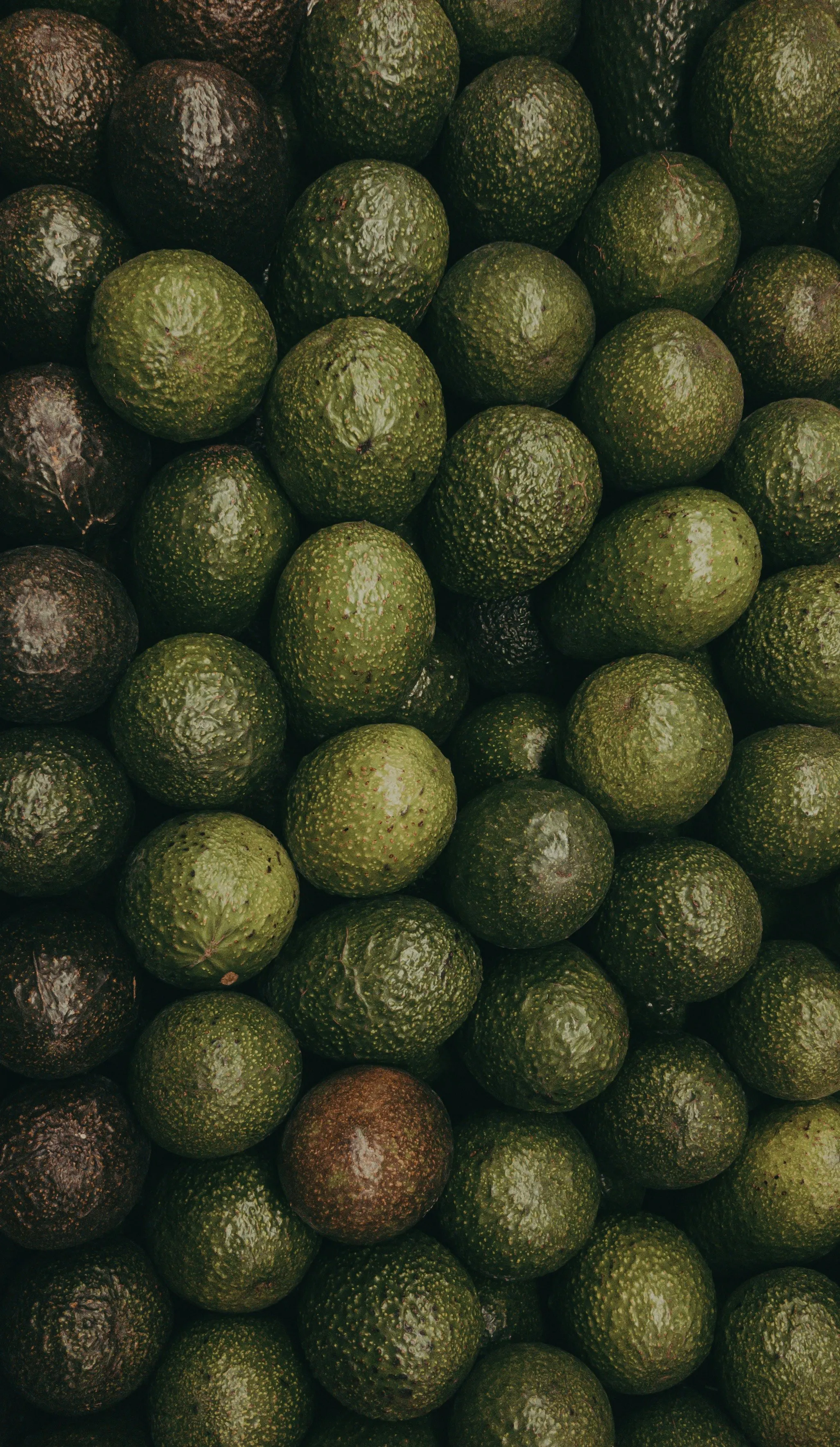 Alejandro Duarte on Unsplash