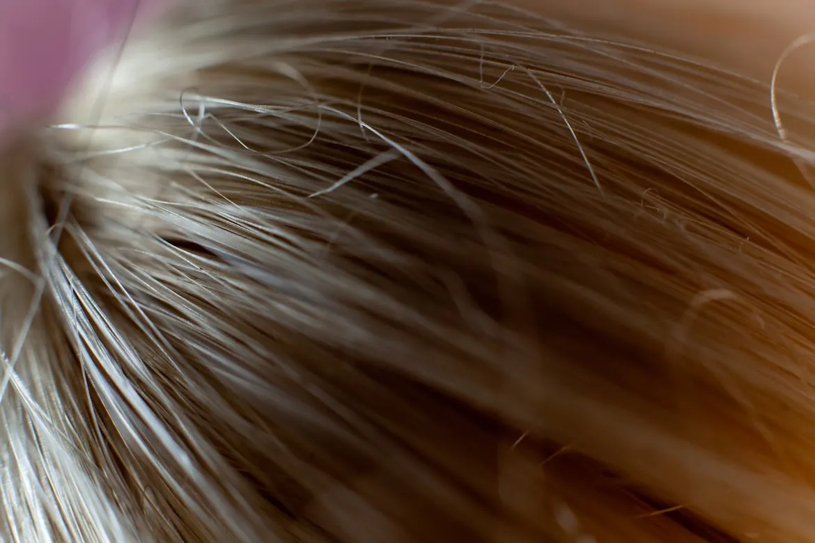 Ian Talmacs from Unsplash