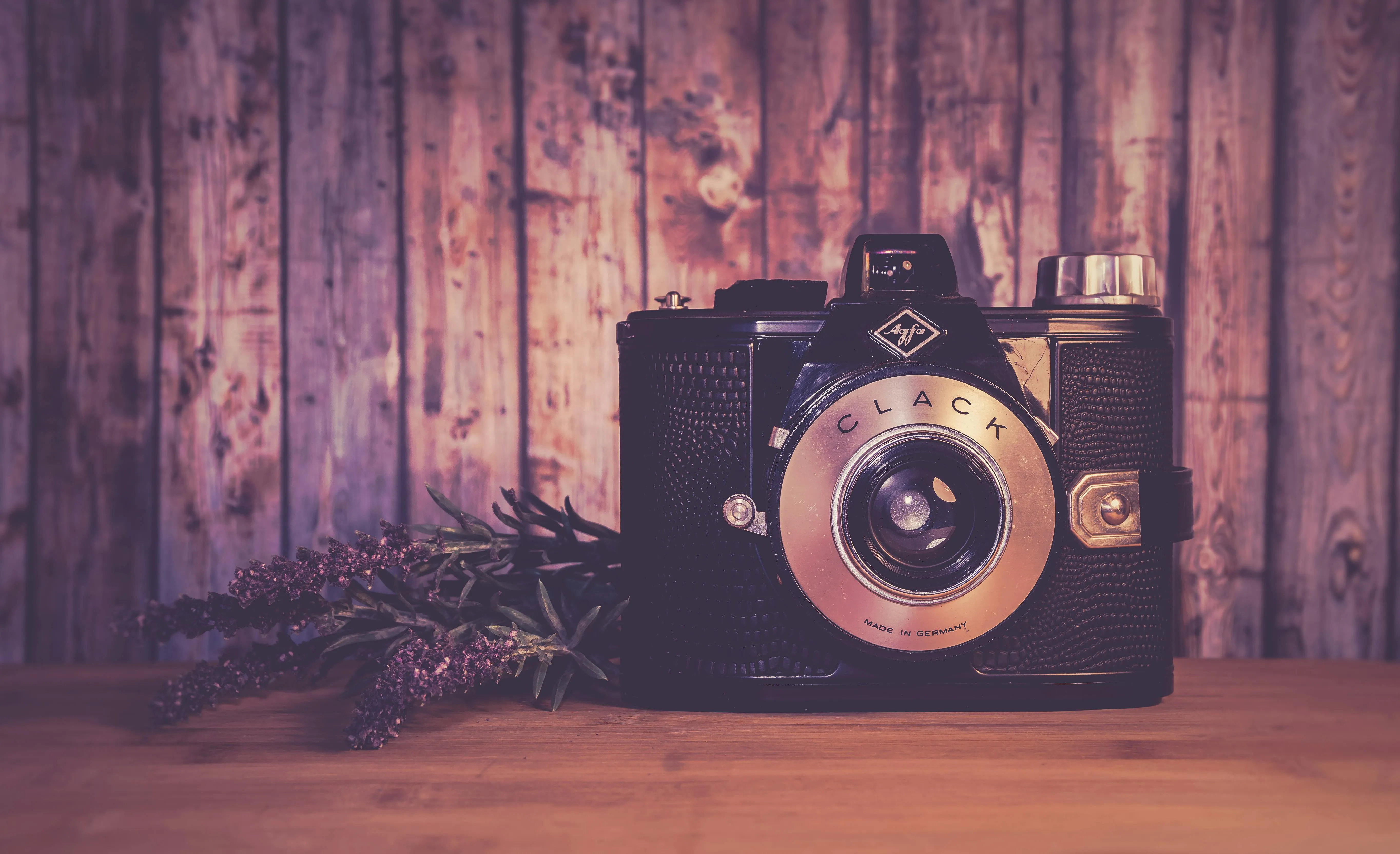 Ylanite Koppens on Pexels