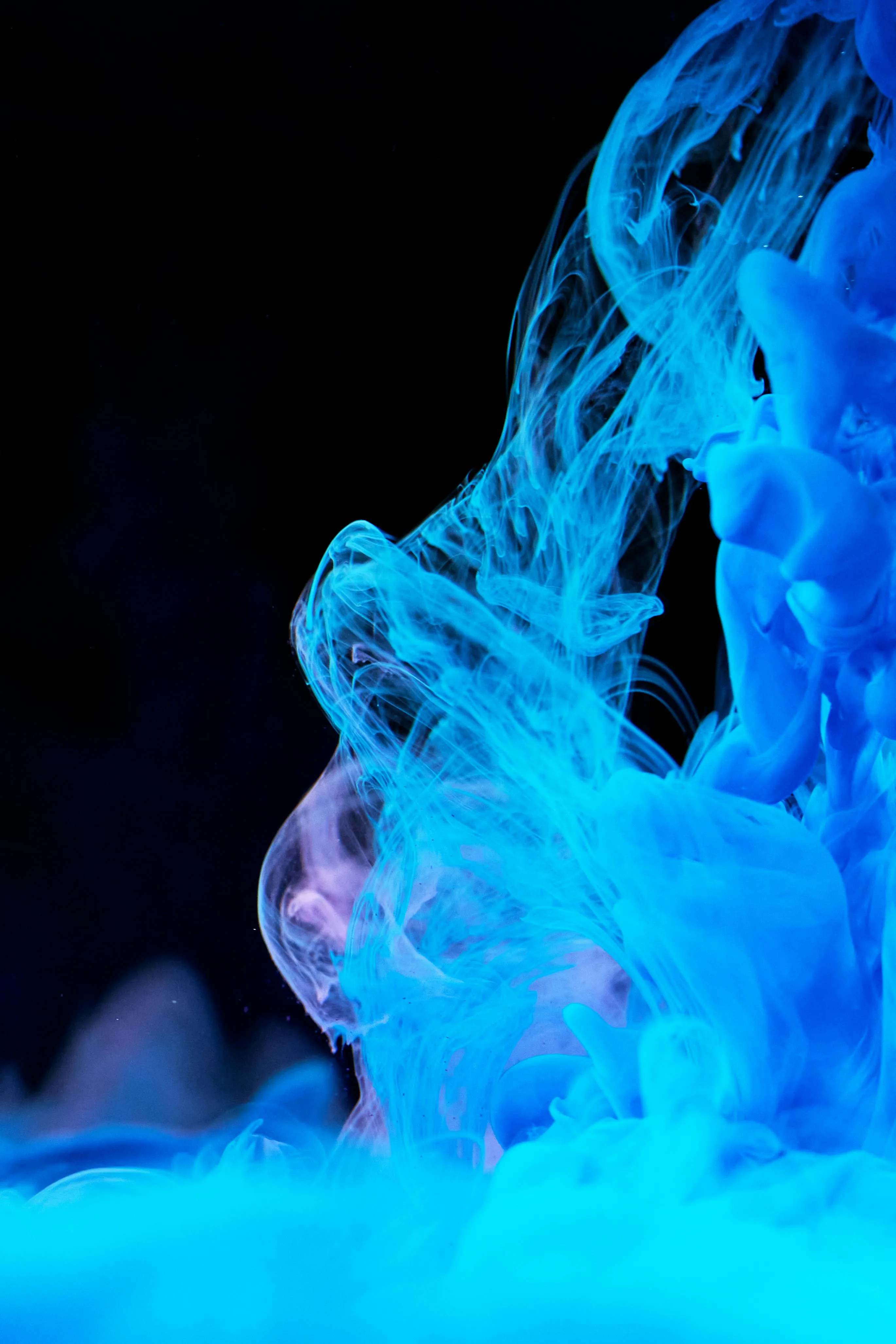 cottonbro studio on pexels