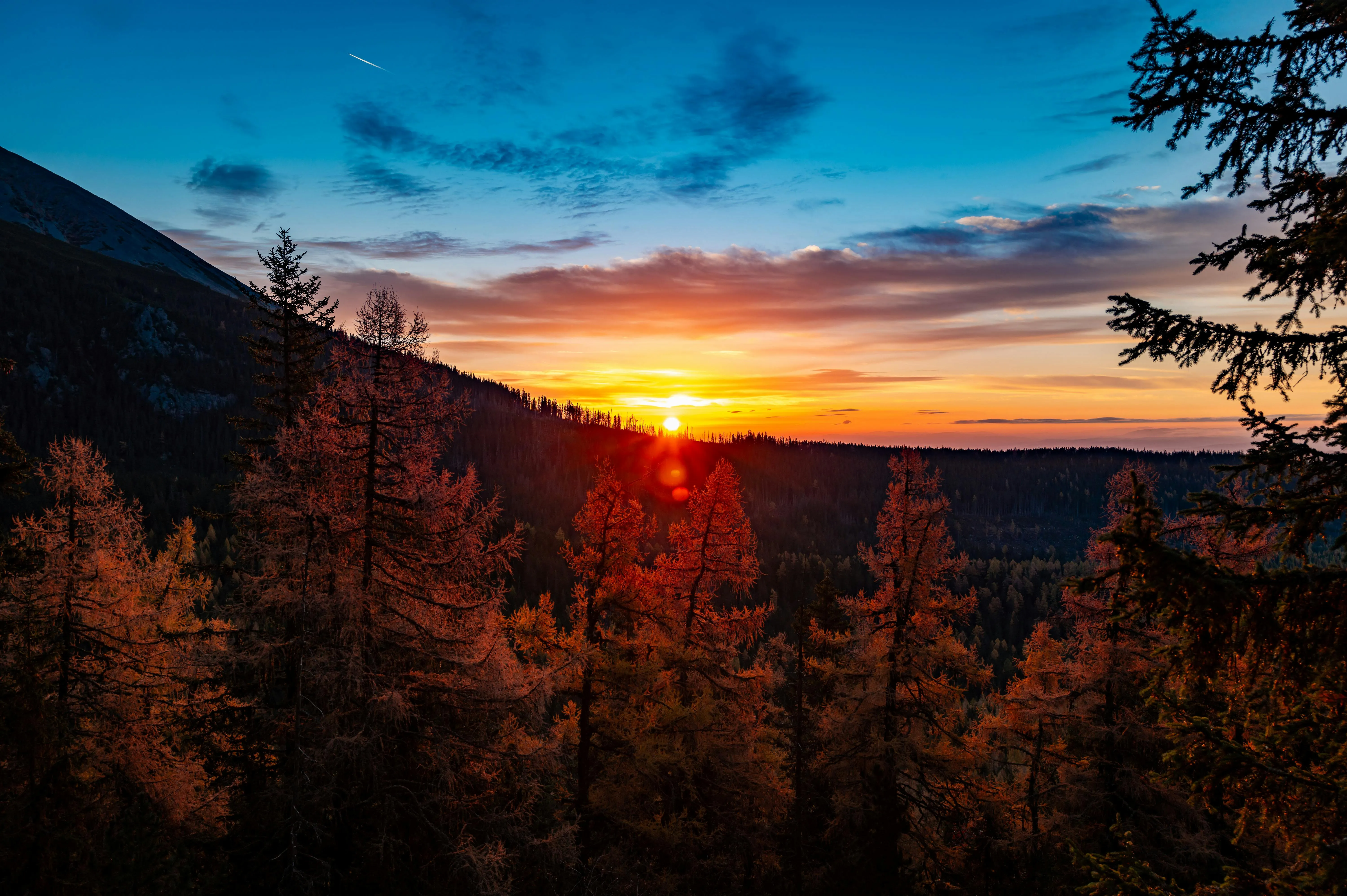 10 Signs Nature Was Waking Up