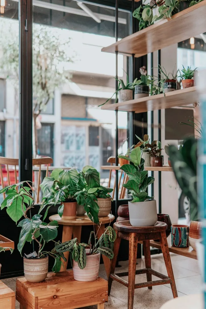 Ceyda Çiftci from Unsplash
