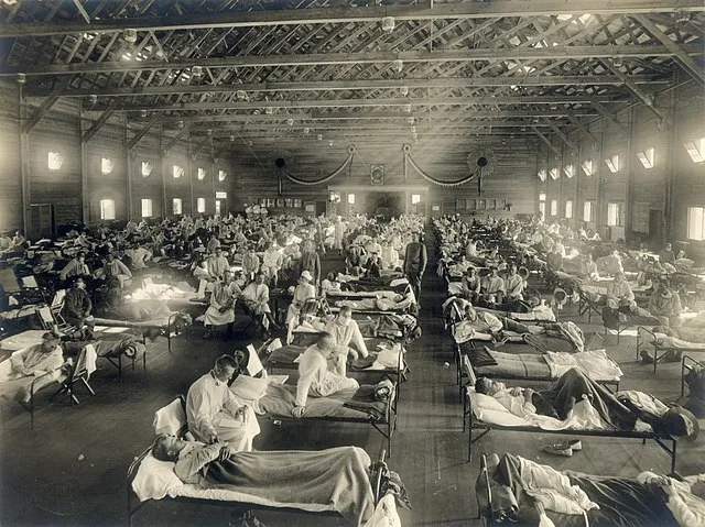 Armed Forces Institute of Pathology/National Museum of Health and Medicine, distributed via the Associated Press on Wikimedia