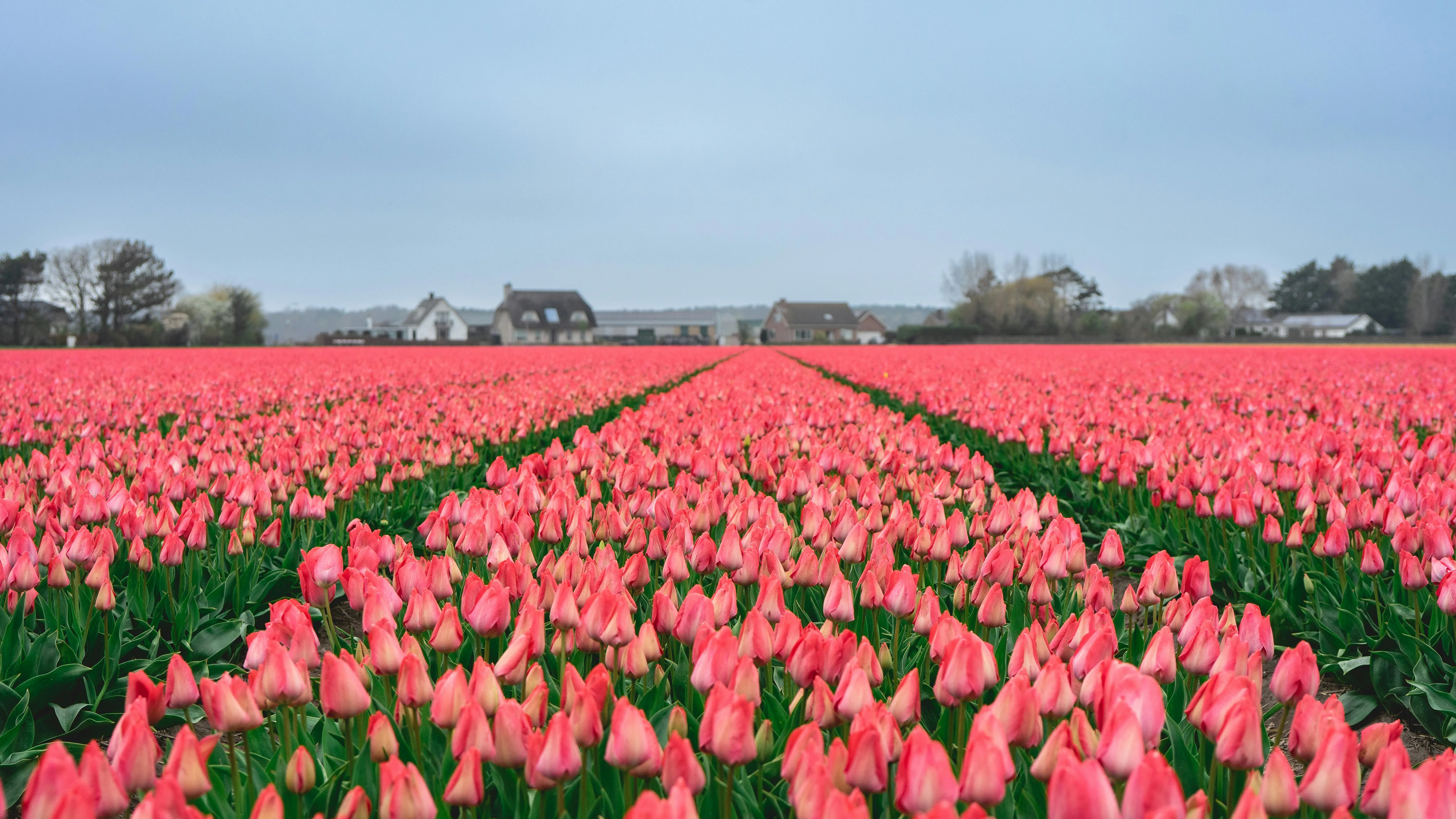 18 Springtime Routines That Felt Familiar