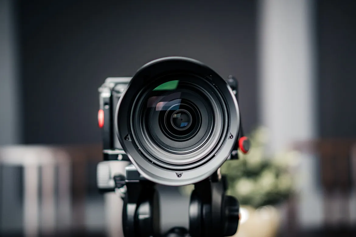 dlxmedia.hu from Unsplash