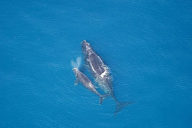National Marine Sanctuaries on wikimedia