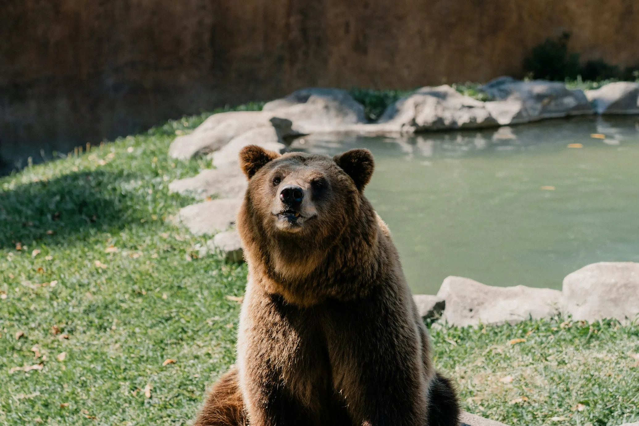 Juan Carlos Pavón on Unsplash