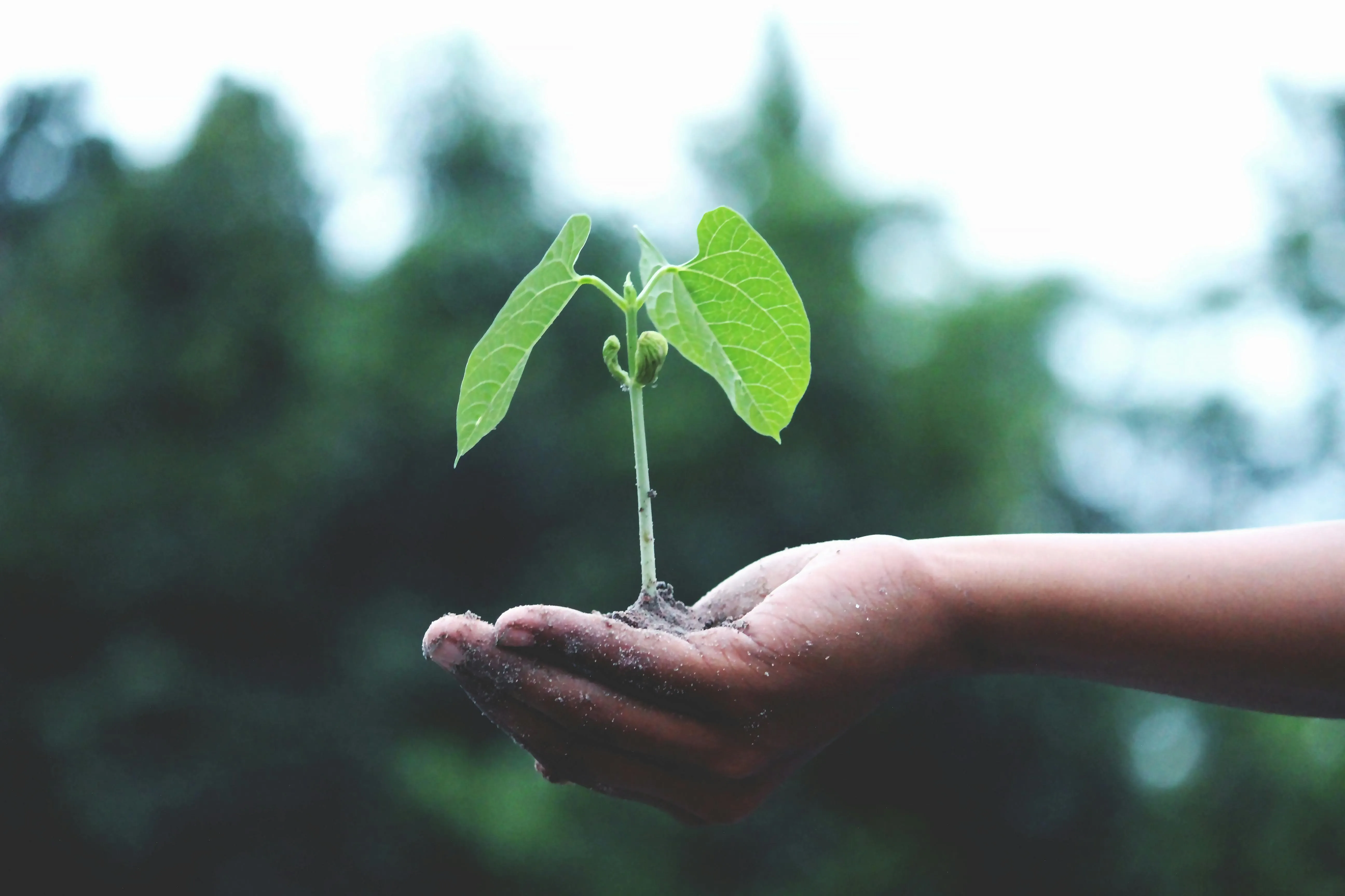 18 Everyday Practices That Endured Change