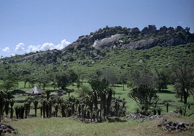 Image taken by Jan Derk in 1997 in Zimbabwe. on Wikimedia Commons