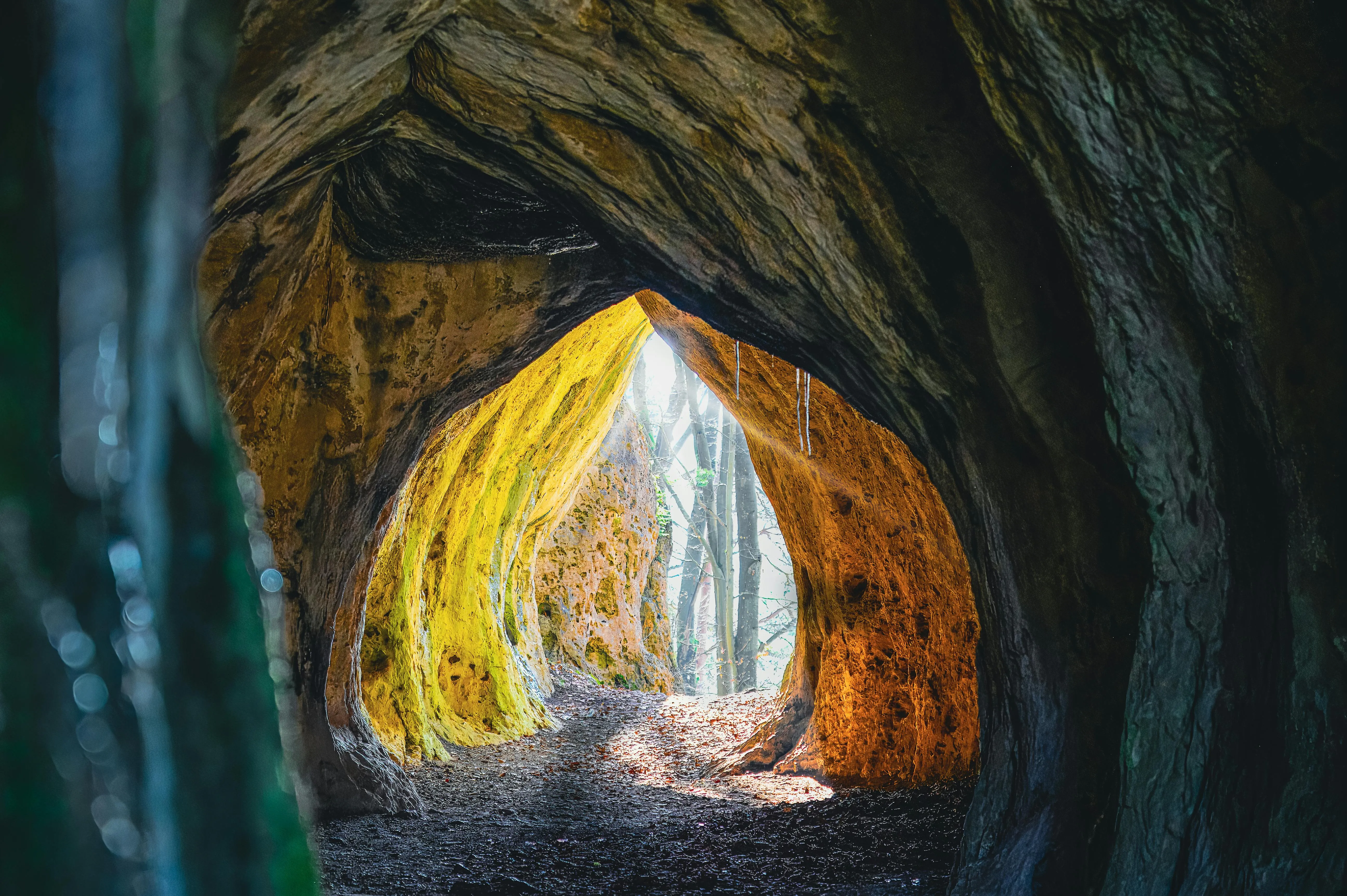 Willfried Wende on Pexels