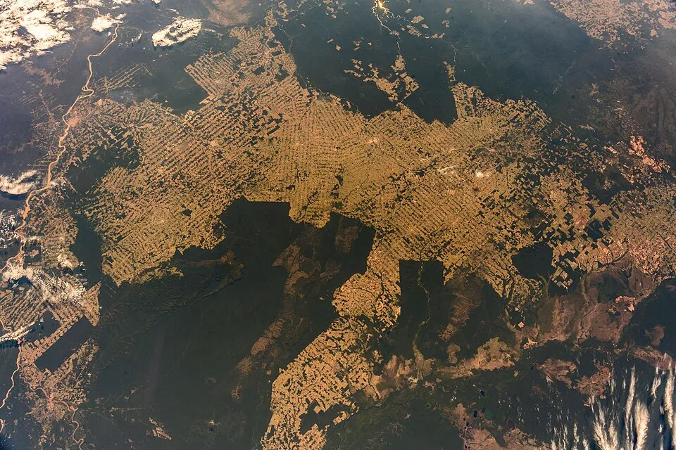 Astro_Alex on Wikimedia Commons