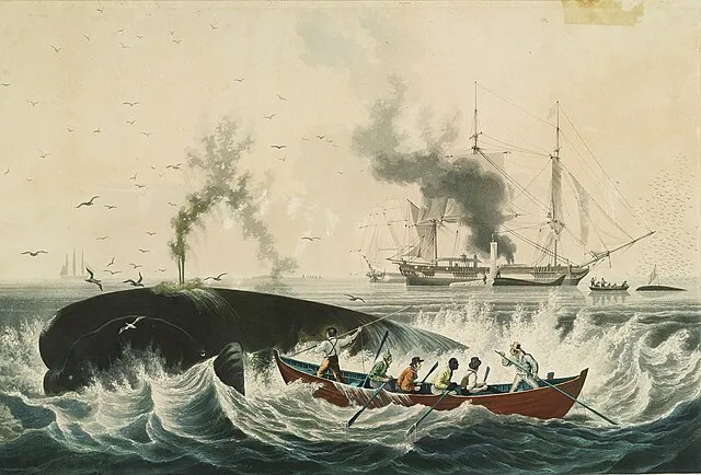 Randolph Ackermann on WikiCommons