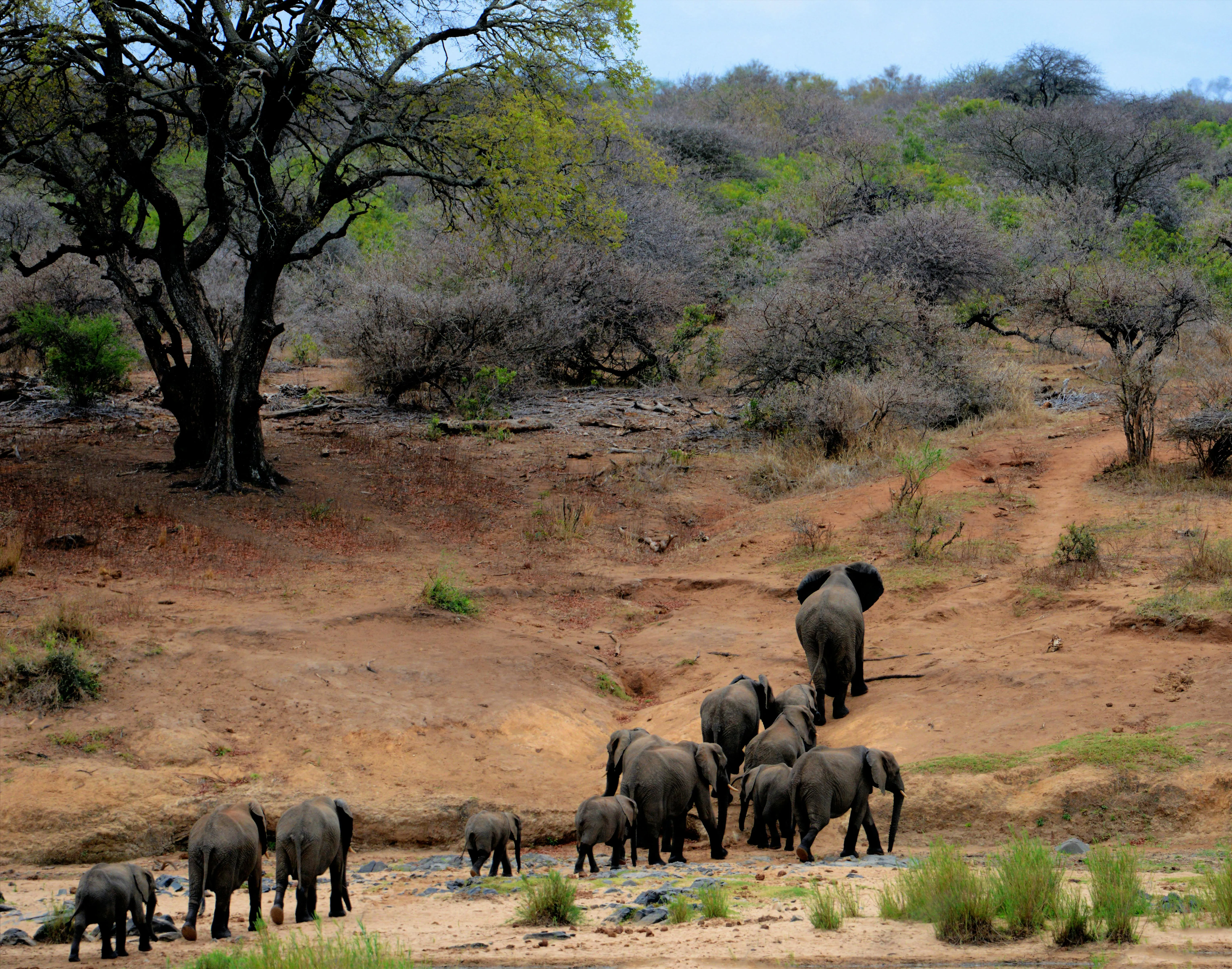 18 Instances Where Wildlife Altered Their Habitat