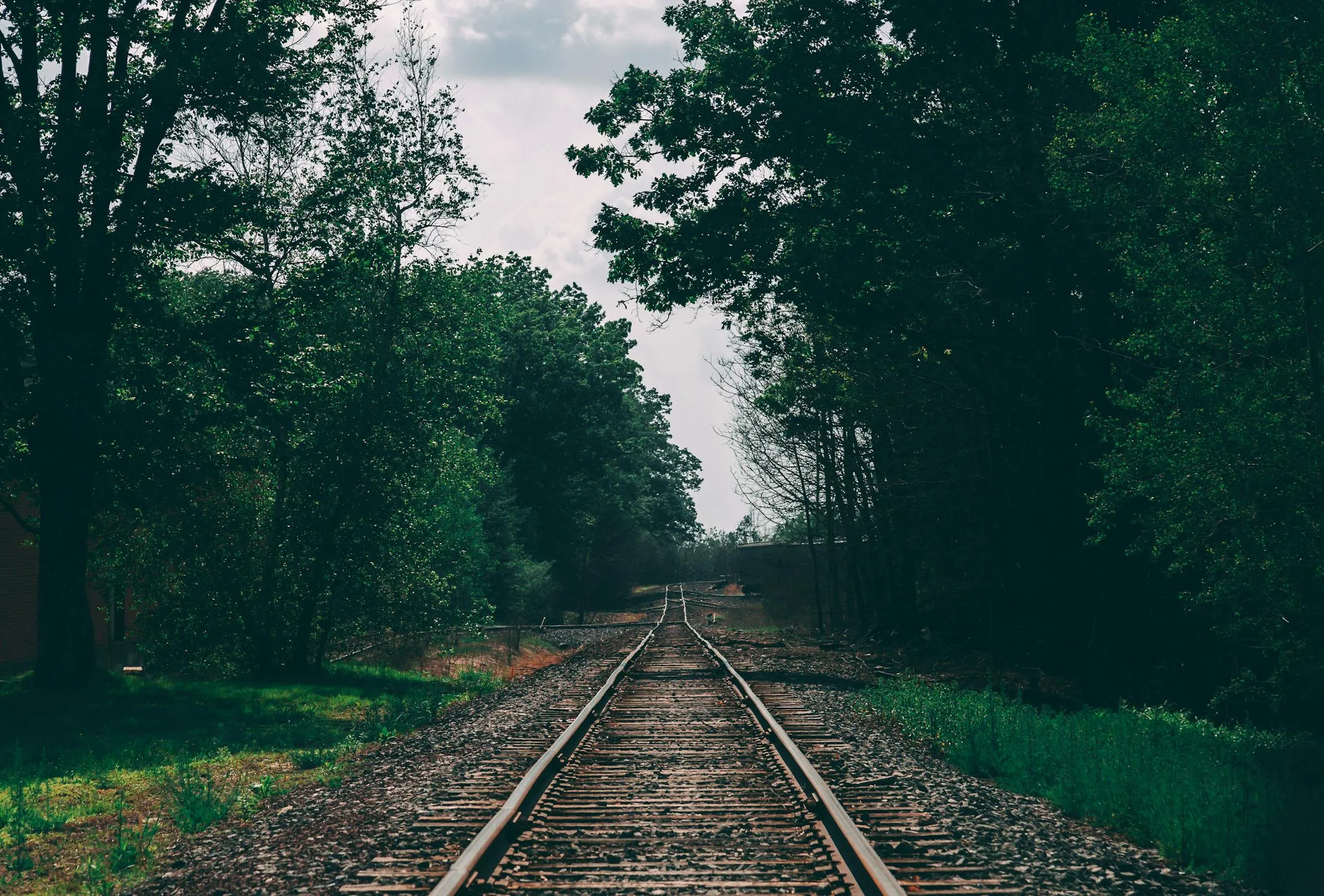 Craig Adderley on Pexels 