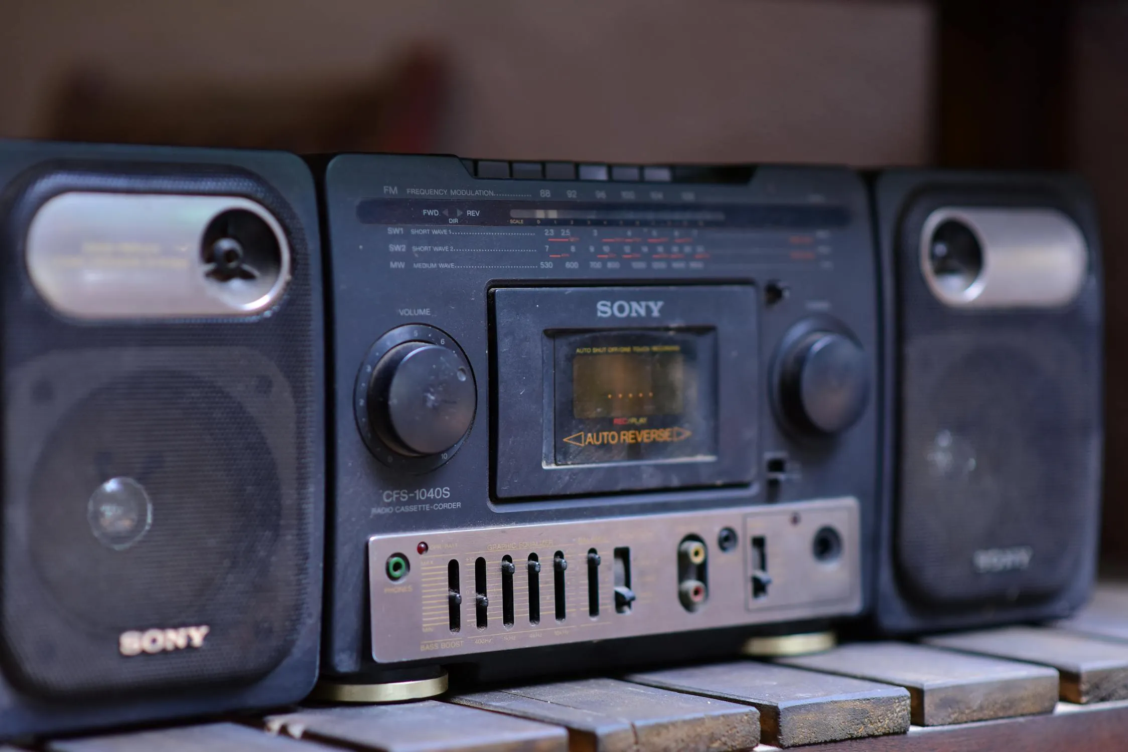 Sóc Năng Động on Pexels