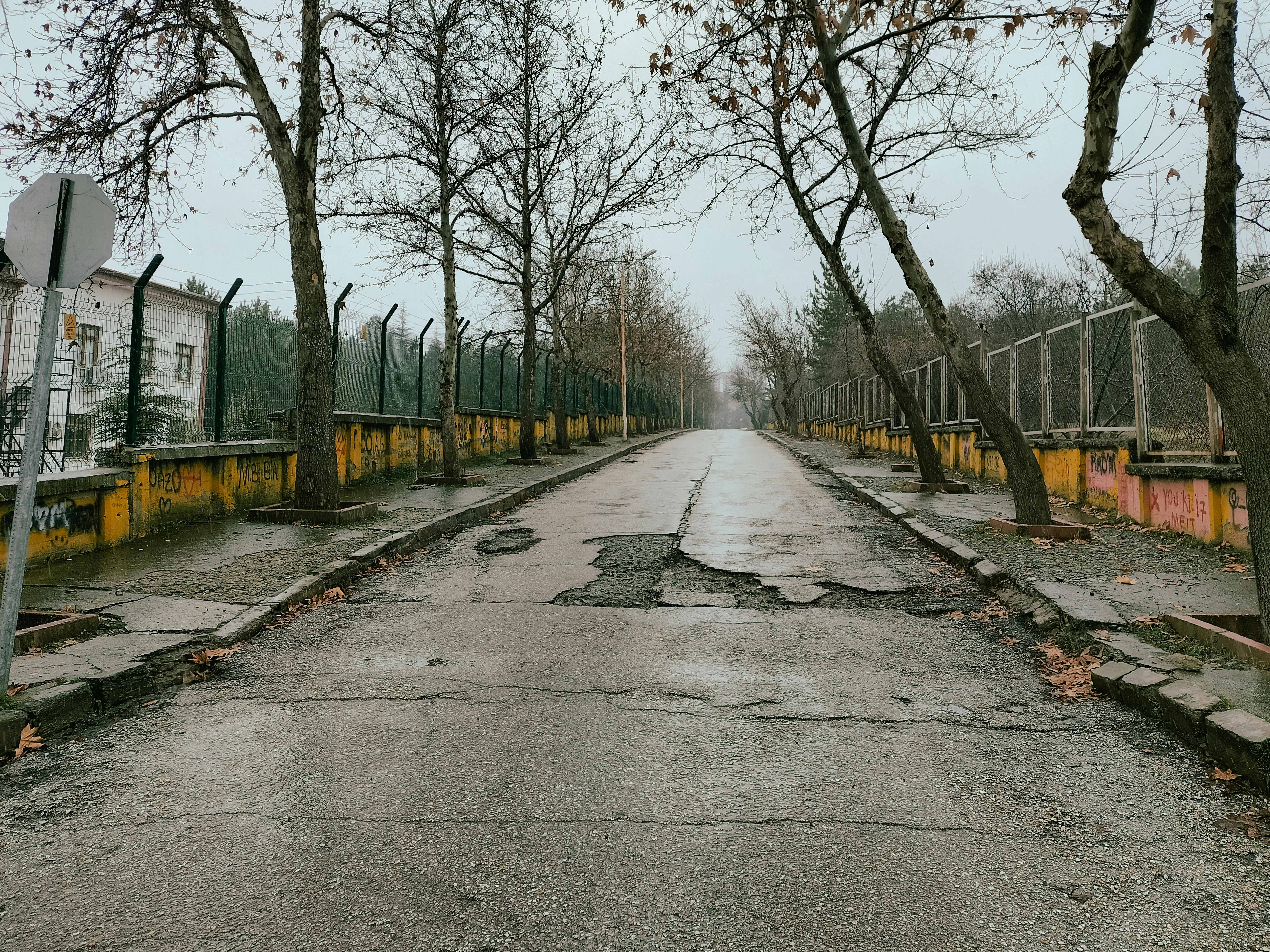 Zülfü Demir📸 on Pexels