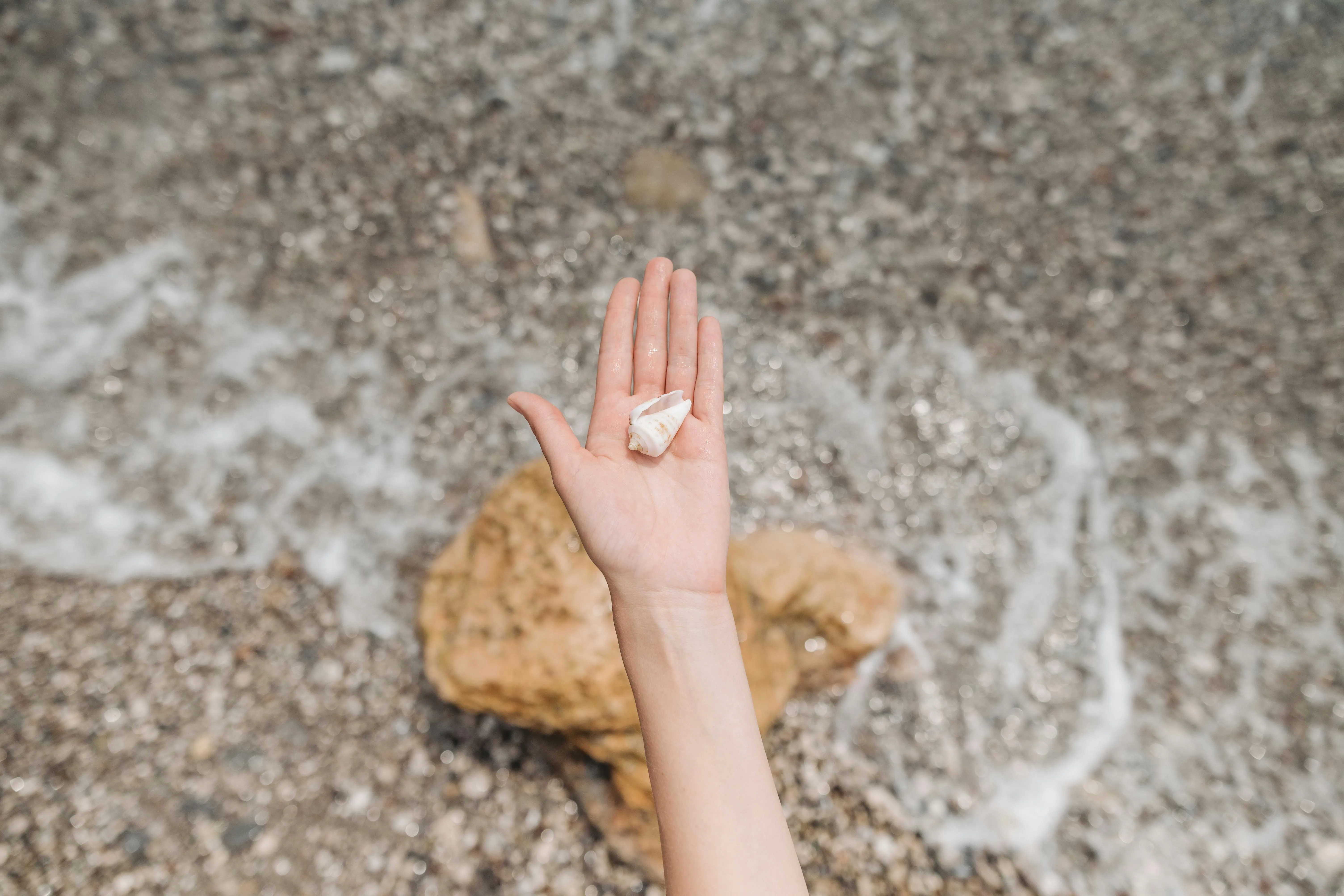 Pavel Danilyuk on Pexels 