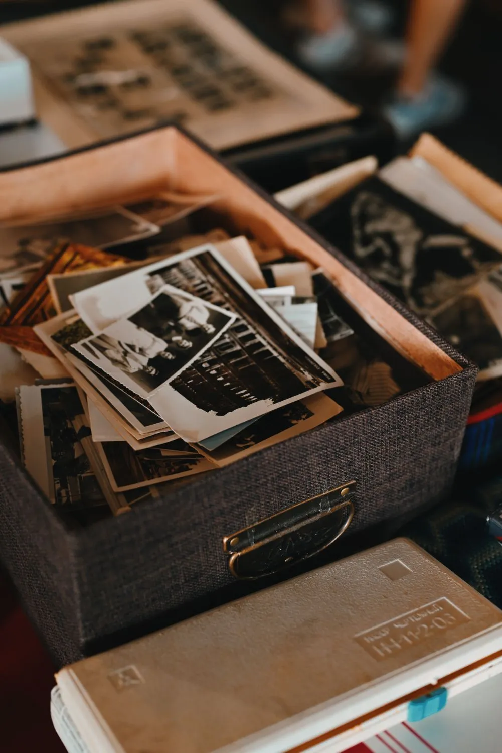 ph.galtri on Pexels
