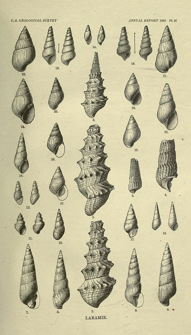 Geological Survey (U.S.); White, Charles A. on wikimedia