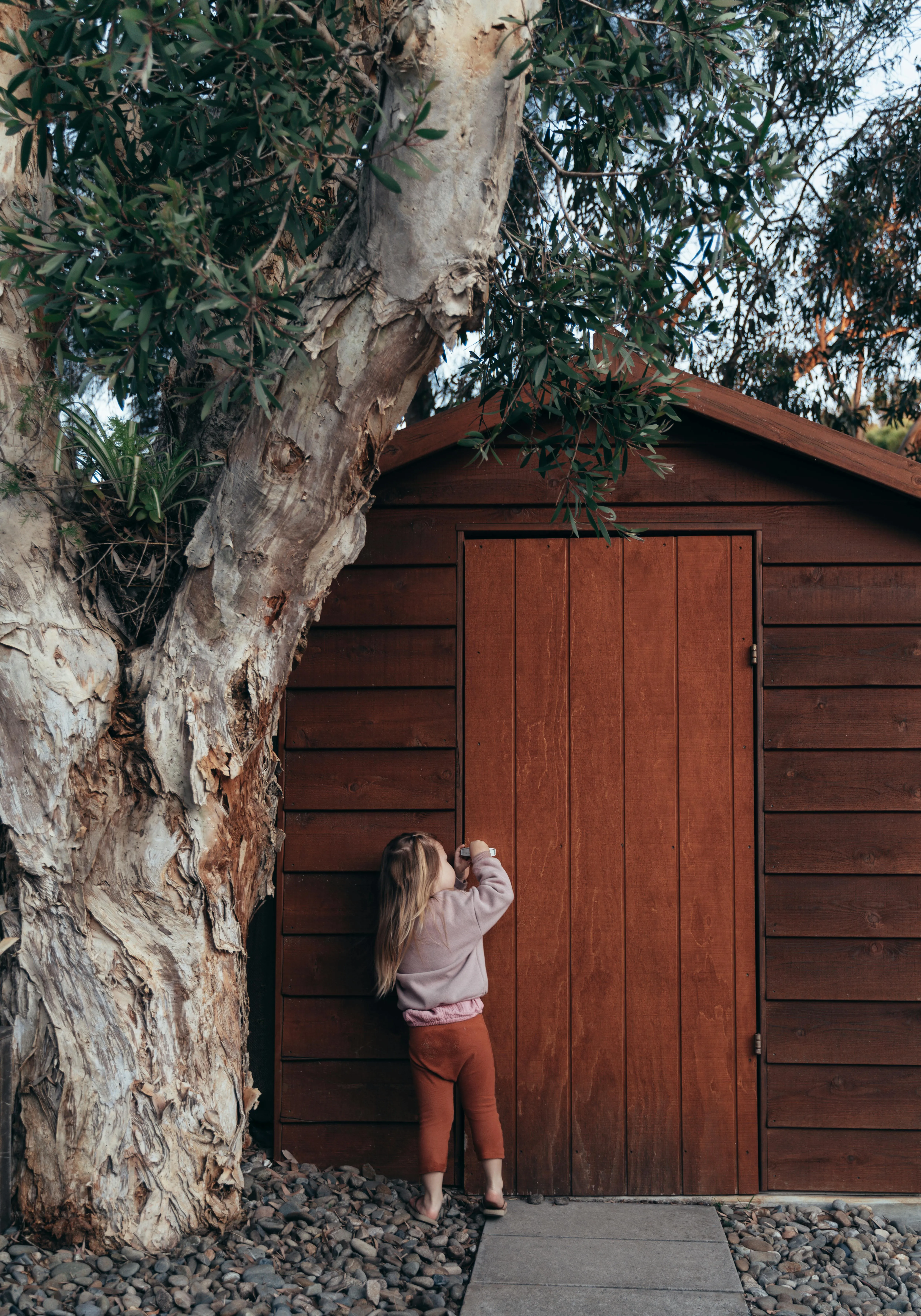 Ben Mack on Pexels 