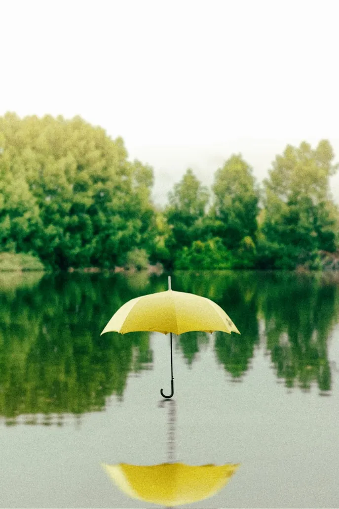 Saffu from Unsplash