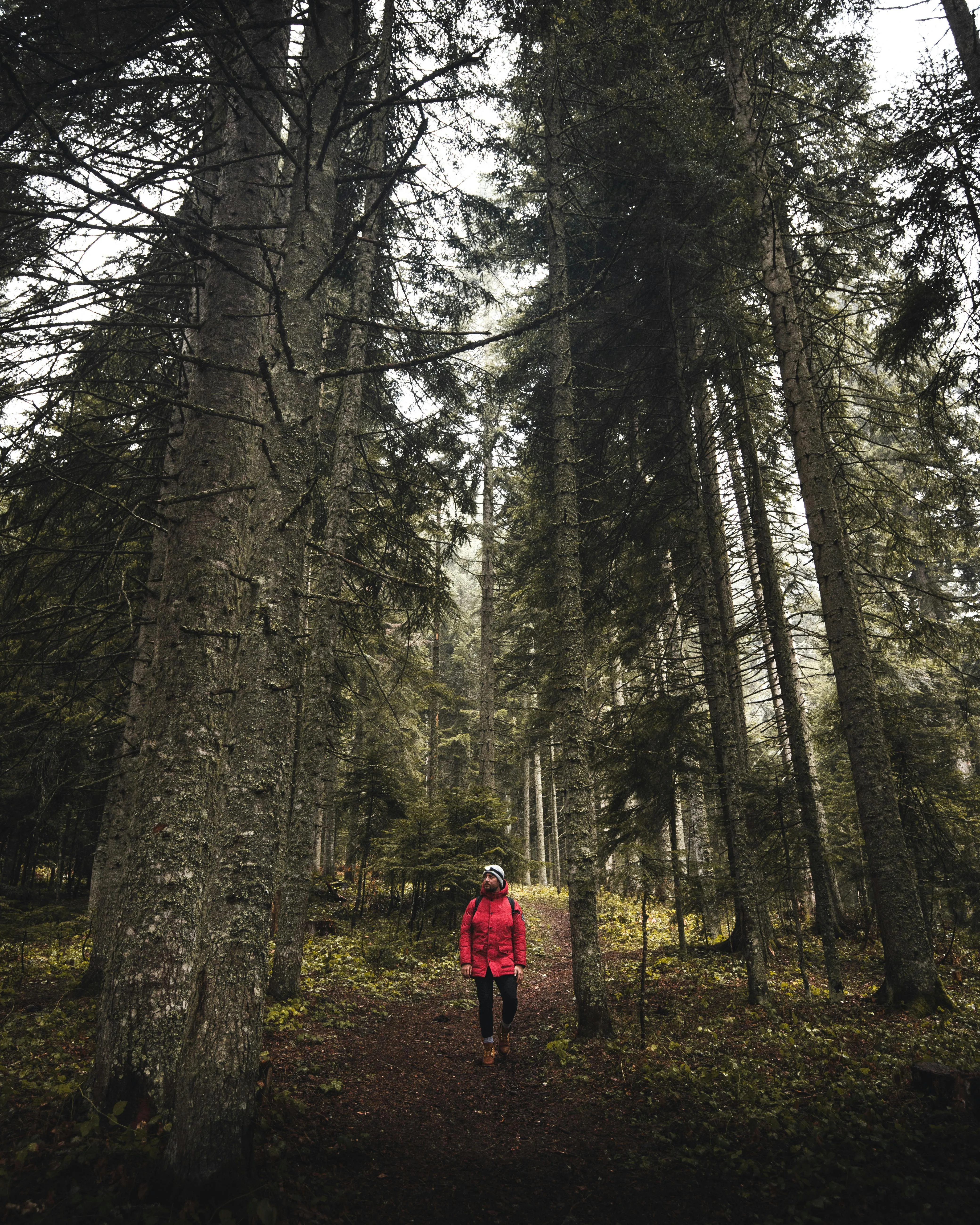 Guney Ozgur on Pexels