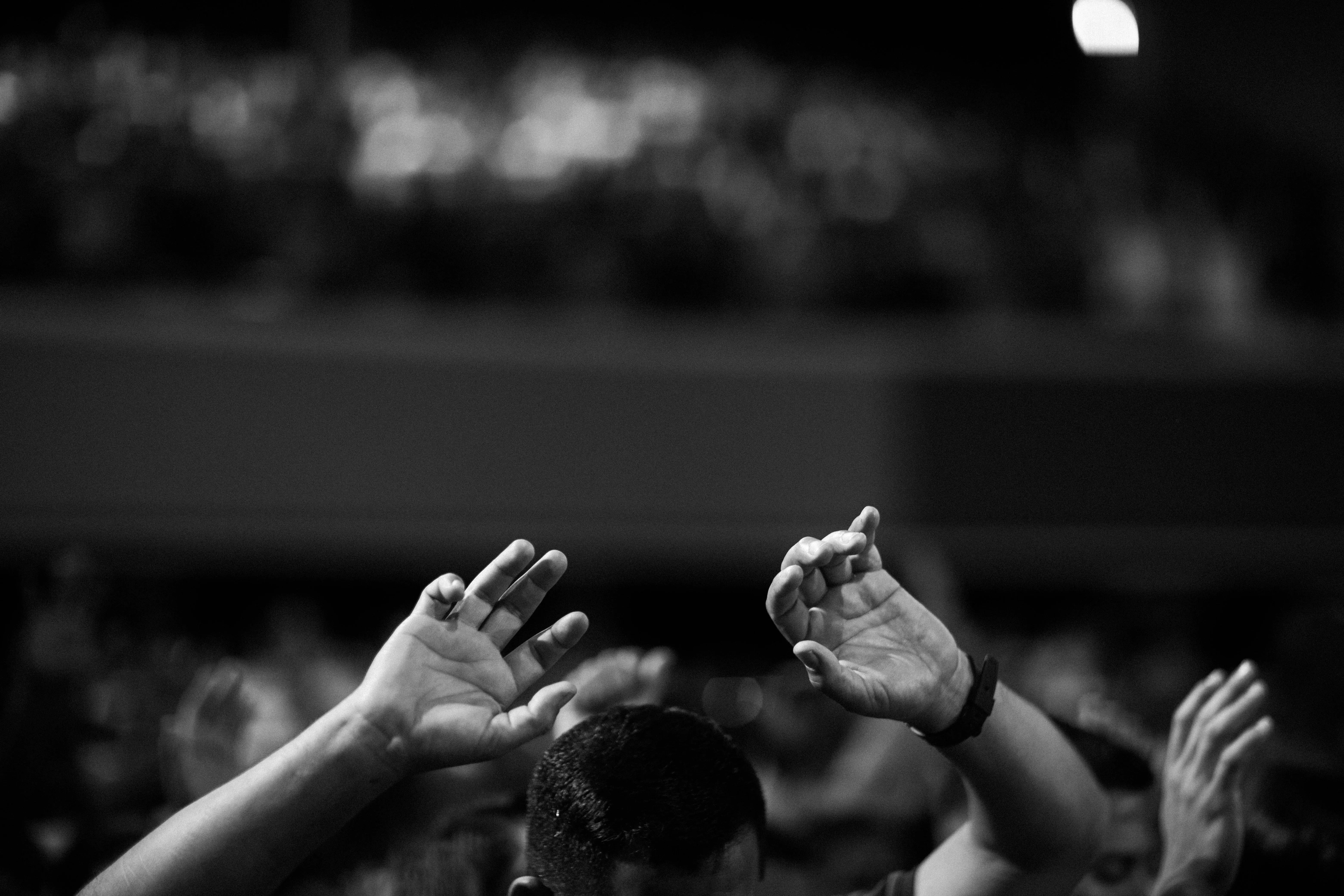 Luis Quintero on Pexels