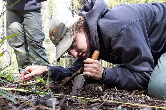 10 Environmental Clues Found in Soil Layers