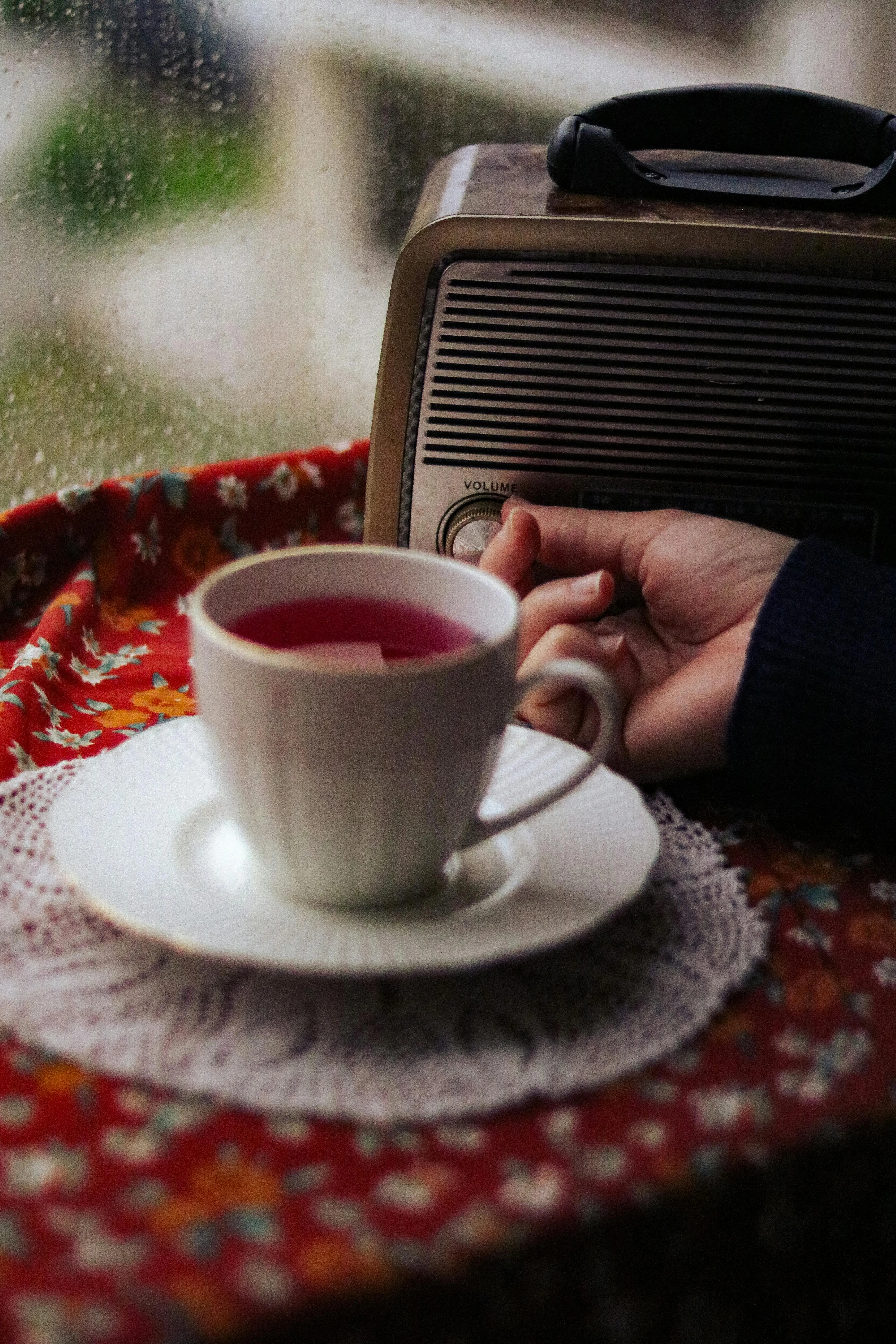 Feyza Daştan on pexels