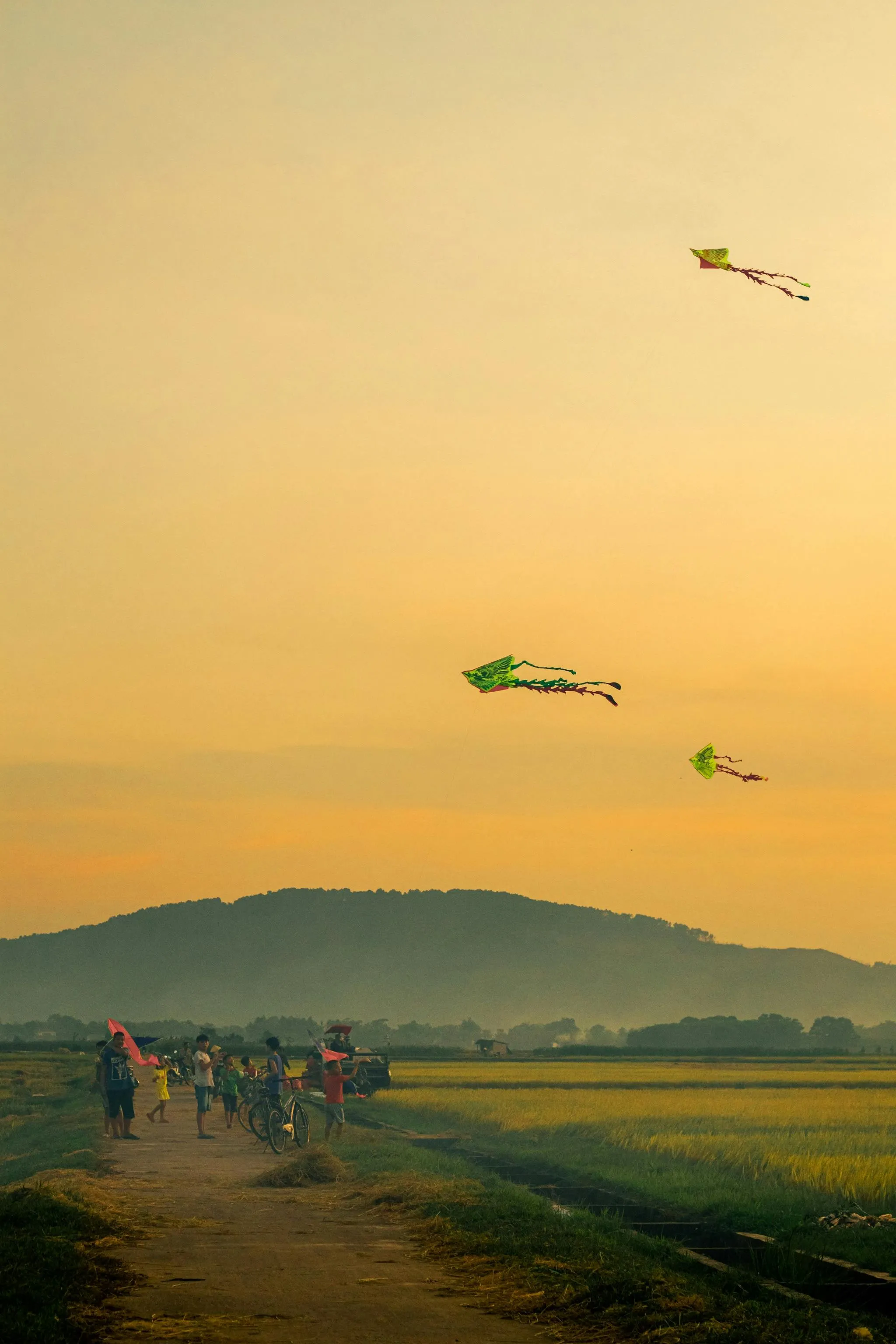 Quan Hoang Duc on Pexels