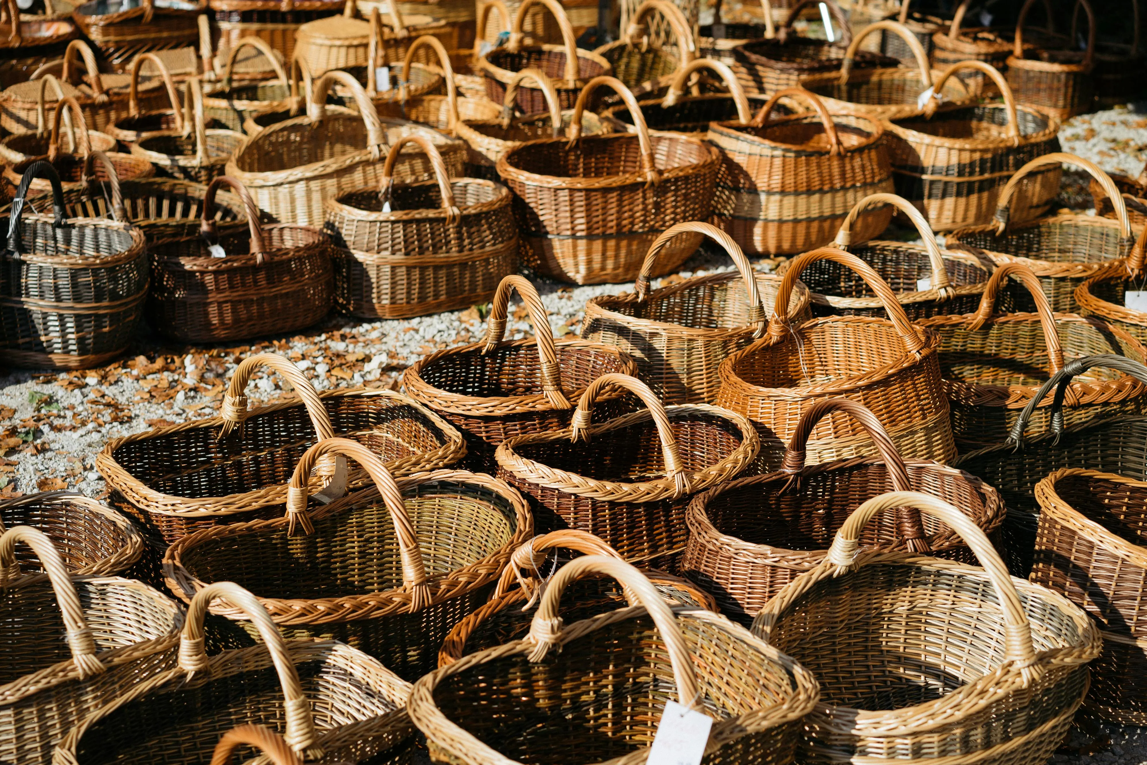 Markus Winkler on Pexels