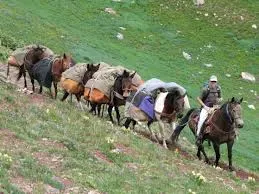 Image from Colorado Trail Foundation