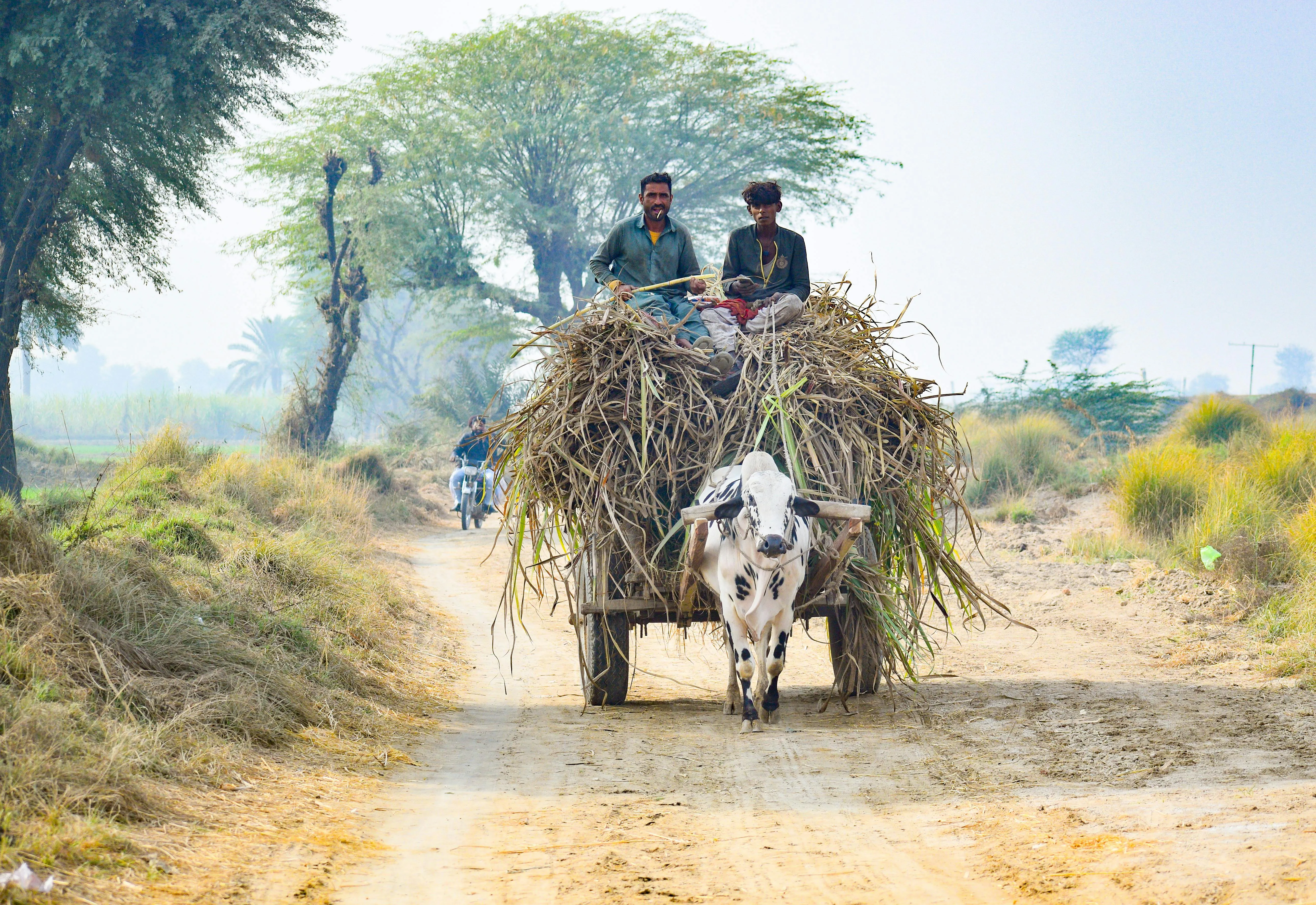 18 Transportation Methods Used in Rural Areas