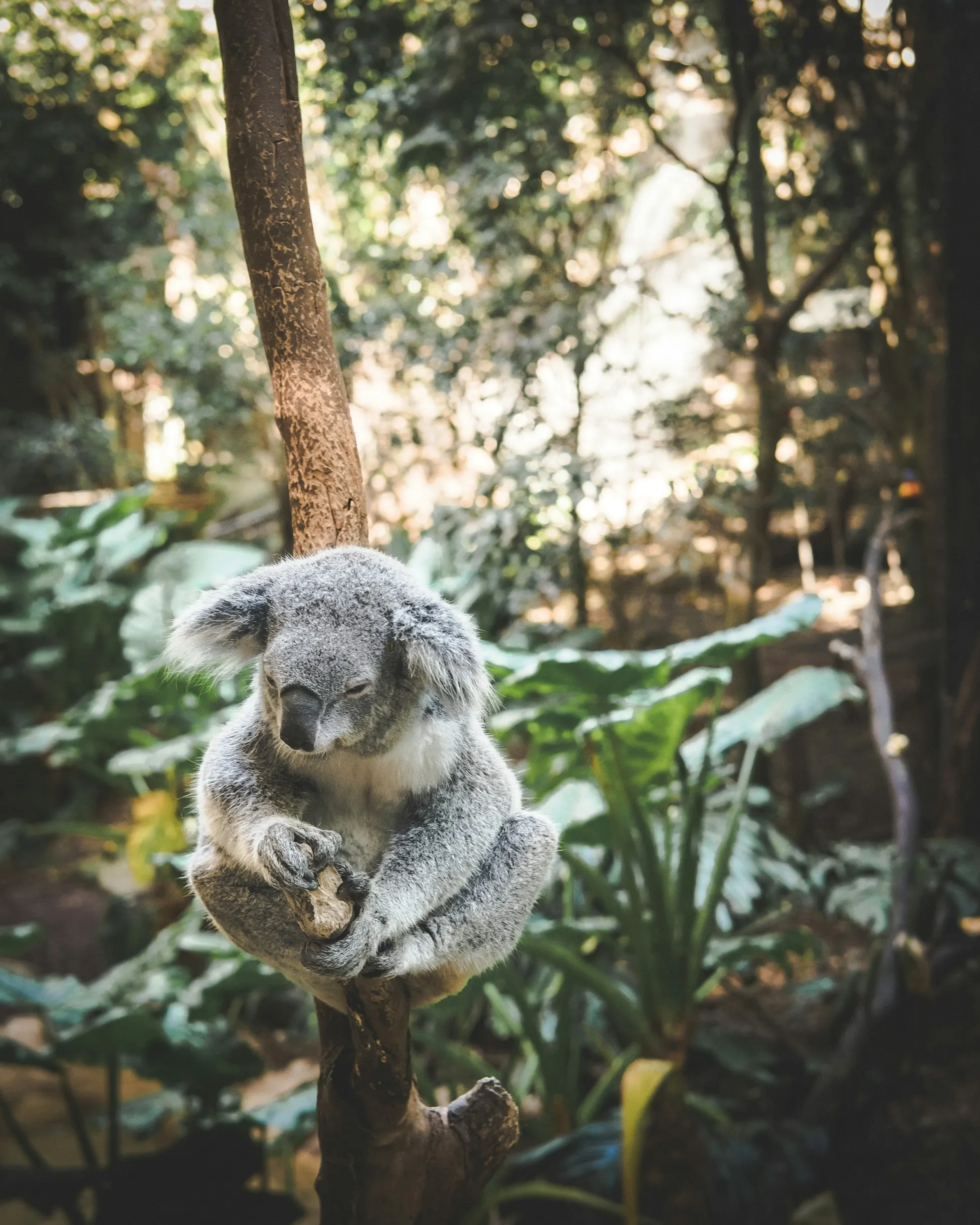 Daniel Norris from Unsplash