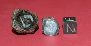 Image from Smithsonian Insider