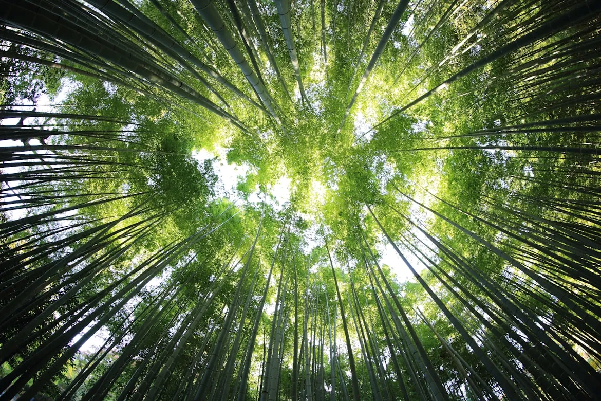kazuend from Unsplash