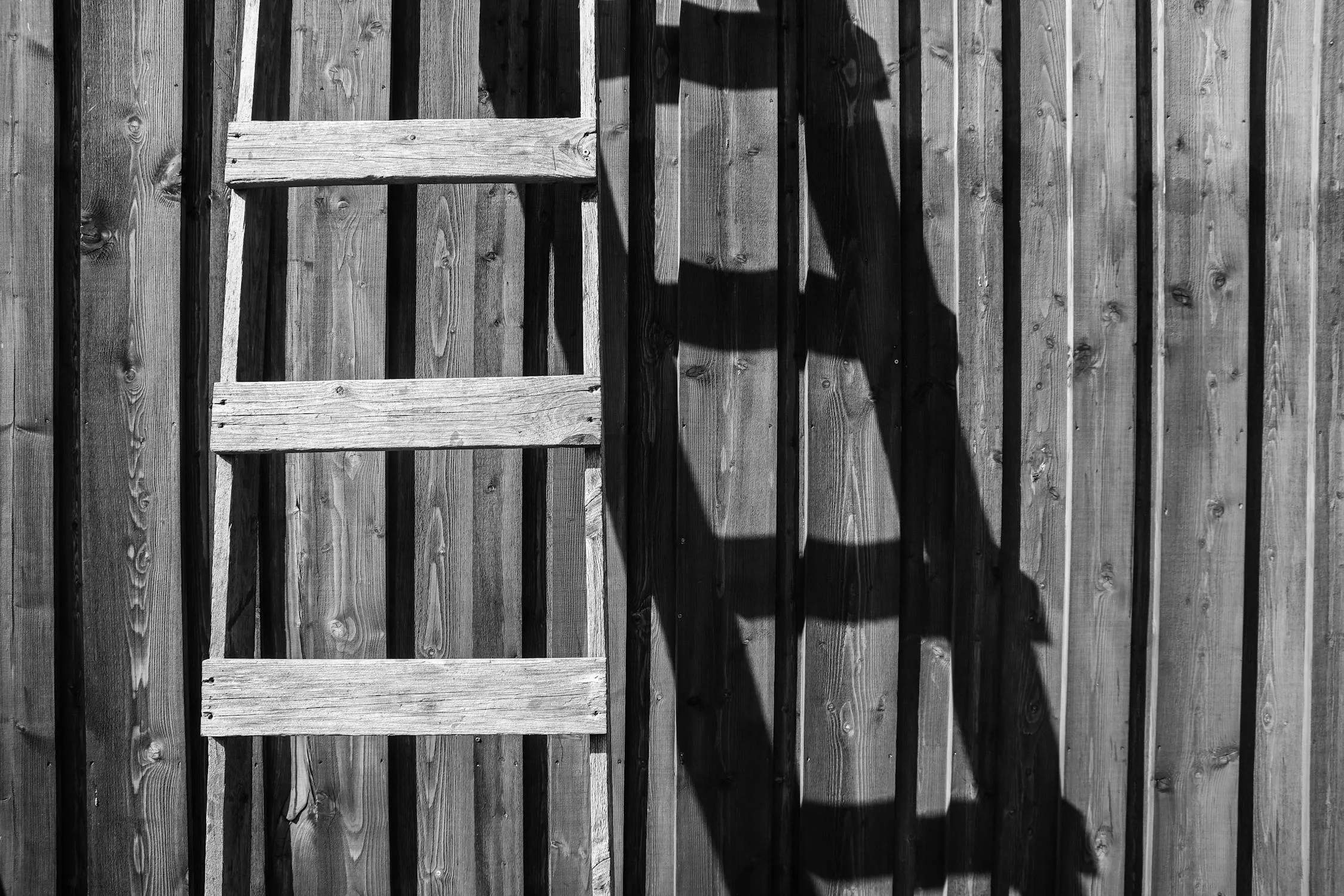 Pille Kirsi on Pexels