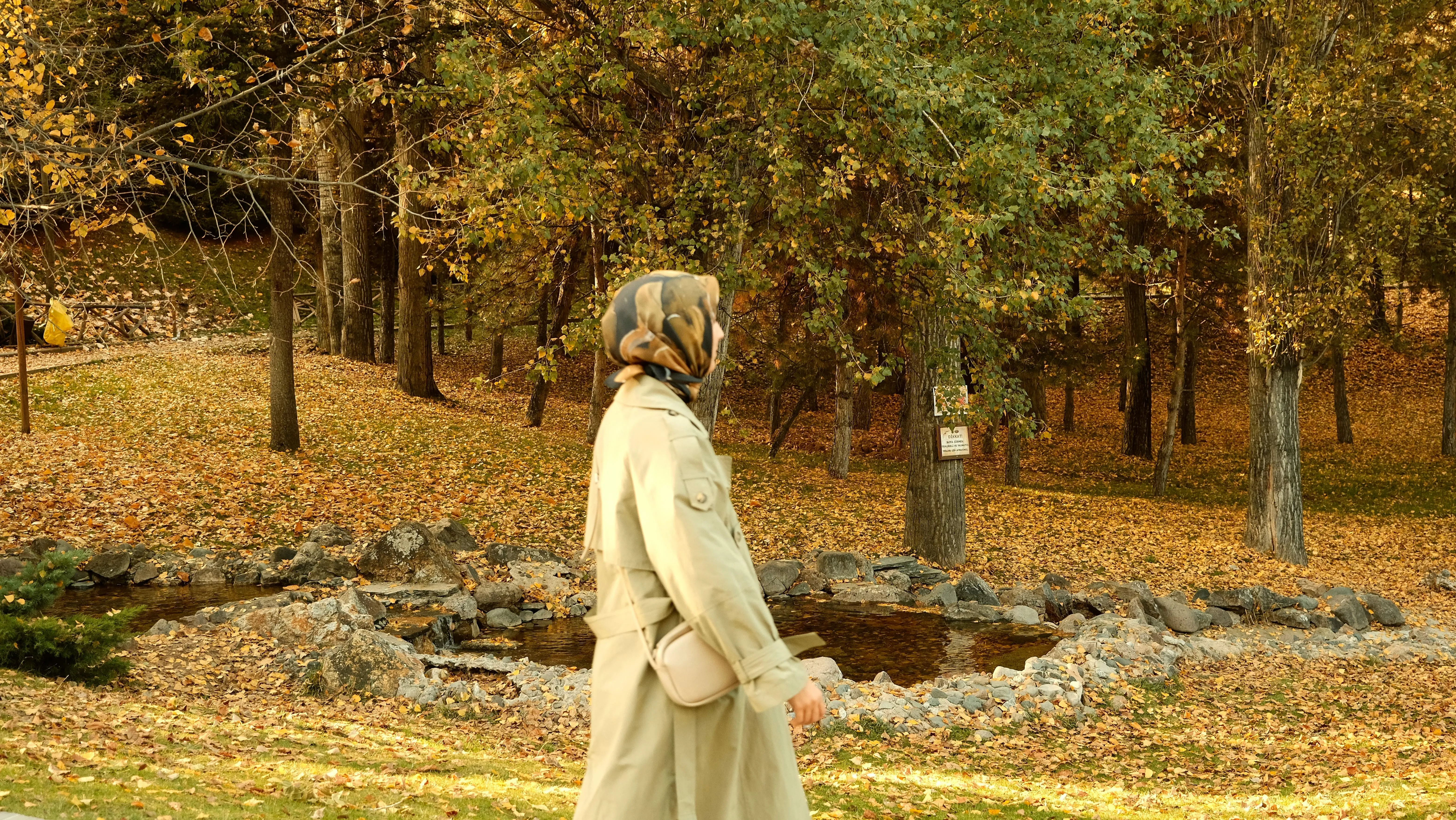 Rahime Gül on Pexels