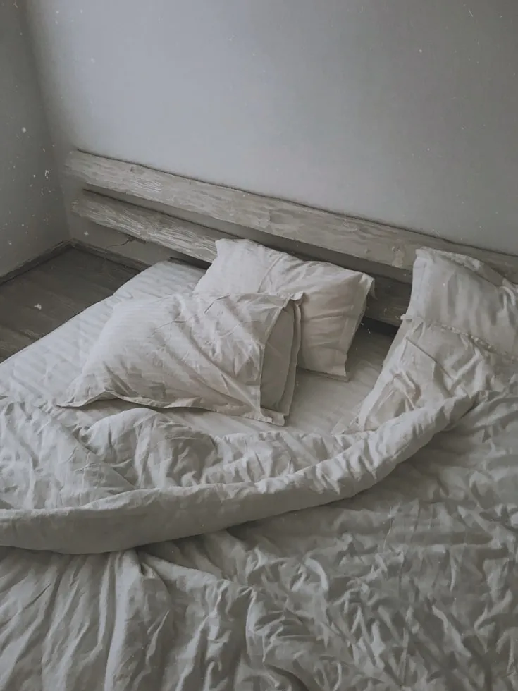 Nastya Dobryvecher from Unsplash